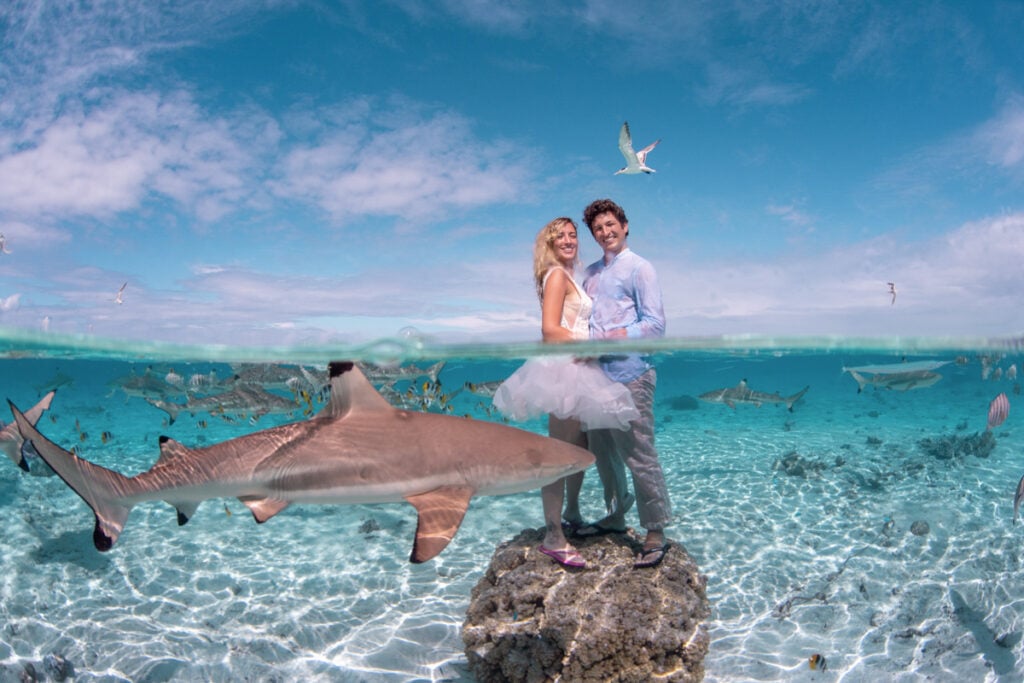 Bora Bora Aquatic Photography with the Wild Life Bora Bora Aquatic Photography with the Wild Life